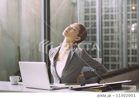 Young Business Women In Modern Office Young Business Women In Modern Office 11302001