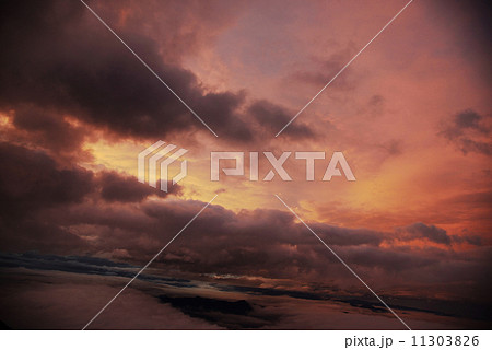 紫雲 紫雲 11303826