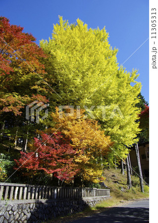 三峰神社の紅葉 三峰神社の紅葉 11305313