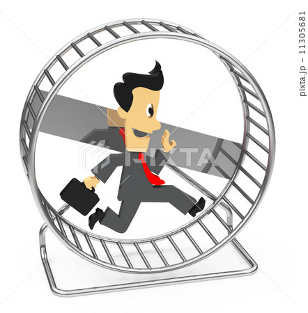 the hamster wheel 11305681