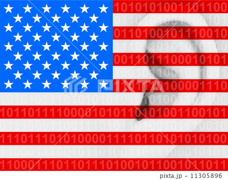 the nsa 11305896