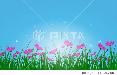 Meadow color background Meadow color background 11306766
