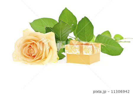 Rose with Gift Box Isolated on White Background Rose with Gift Box Isolated on White Background 11306942