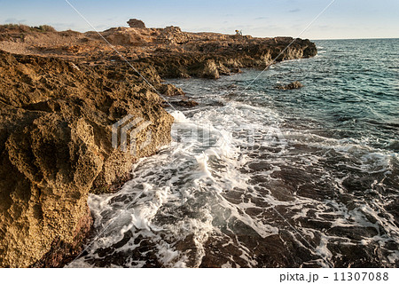 rock in the sea 11307088