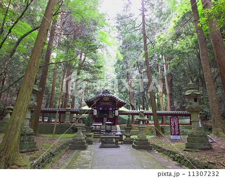 根来寺の奥之院 根来寺の奥之院 11307232