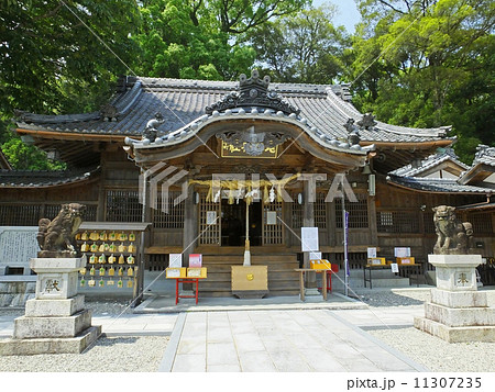 尾鷲神社 尾鷲神社 11307235
