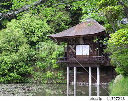 根来寺・聖天堂 11307248