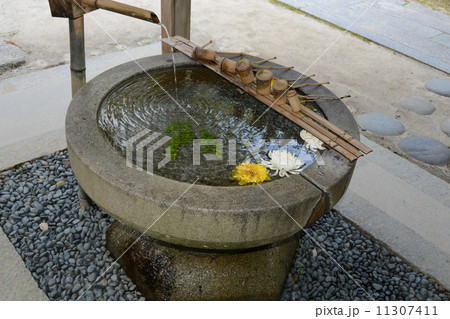 香嵐渓の春 香積寺境内 香嵐渓の春 香積寺境内 11307411