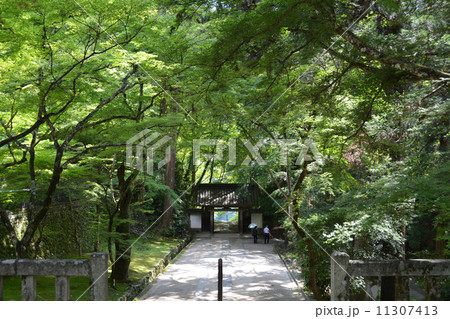 香嵐渓の春　香積寺 11307413
