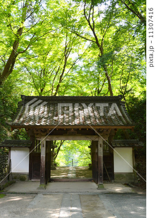 香嵐渓の春　香積寺山門 11307416