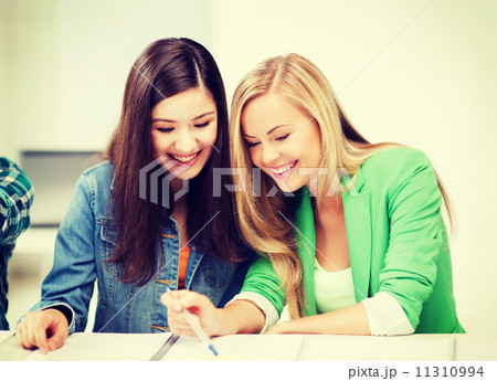student girls pointing at notebook at school student girls pointing at notebook at school 11310994