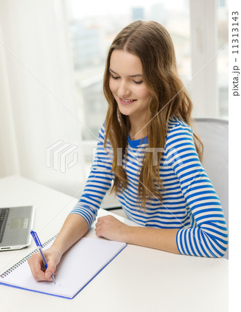 smiling teenage girl laptop computer and notebook 11313143