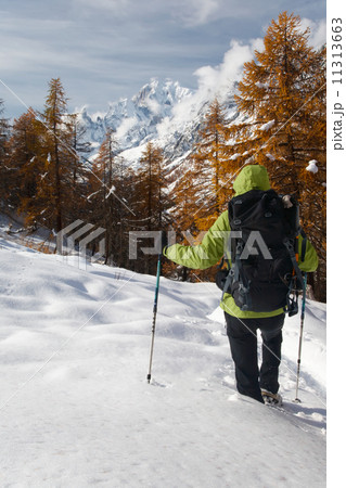 Winter hiking 11313663