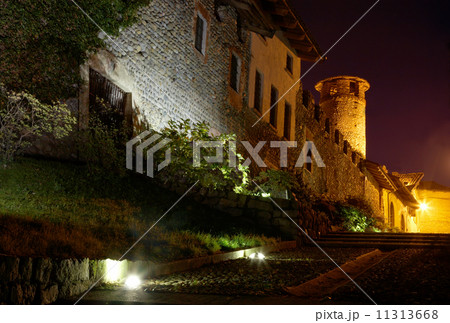 Castle night 11313668