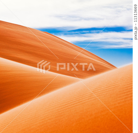 Desert dunes 11313669