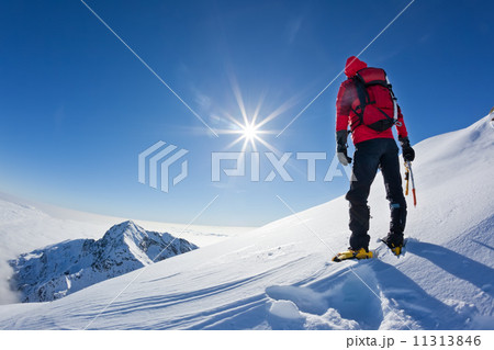Mountaineer reaches the top of a snowy mountain in a sunny winte Mountaineer reaches the top of a snowy mountain in a sunny winte 11313846