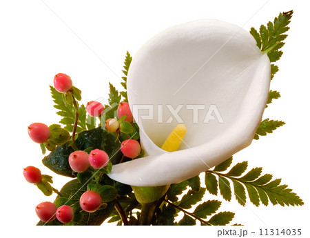 Wedding Bouquet flowers 11314035