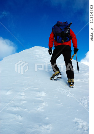 Mountaineer 11314238