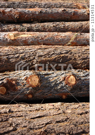 Stack of wood 11314531