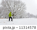 Snowshoeing Snowshoeing 11314578