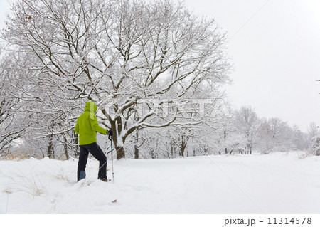 Snowshoeing 11314578