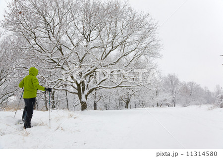 Snowshoeing 11314580