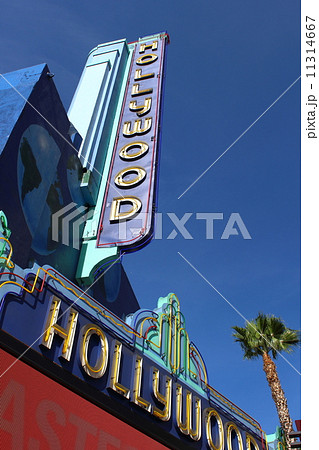 ハリウッド 11314667