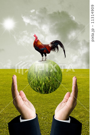 Businessman show the green planet with chicken, Organic farm concept 11314909