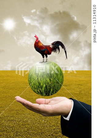 Businessman show the green planet with chicken, Organic farm concept Businessman show the green planet with chicken, Organic farm concept 11314910