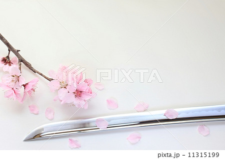 日本刀と桜の花びら 11315199