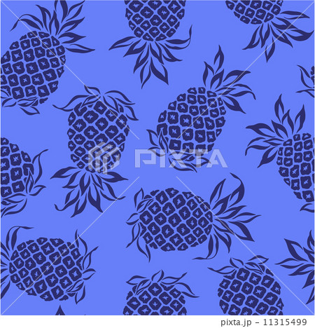パイナップルのパターン 11315499