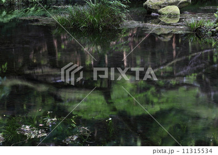 山吹水源 11315534