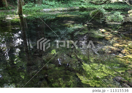 山吹水源の澄んだ水 山吹水源の澄んだ水 11315536