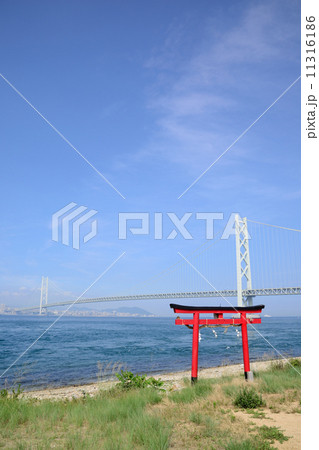 明石海峡大橋 11316186
