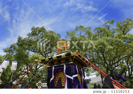 夏祭り 夏祭り 11316253