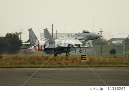 Ｆ１５戦闘機 11316265