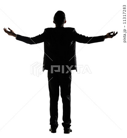 Asian businessman open arms feel free Asian businessman open arms feel free 11317283