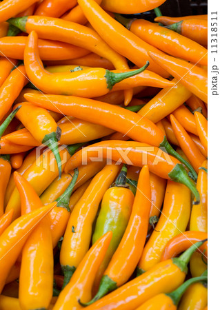 spicy yellow chilly peppers for sale 11318511