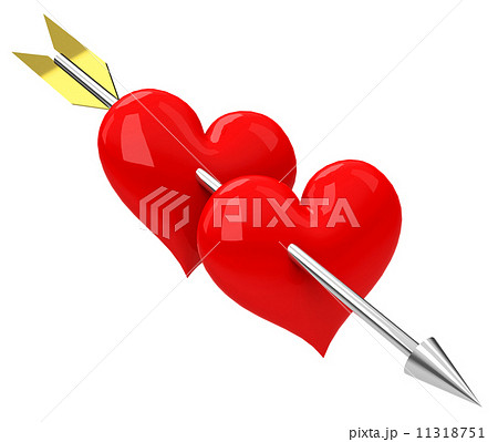 the love the love 11318751