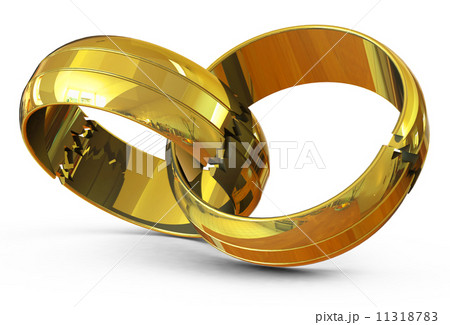 the wedding rings 11318783