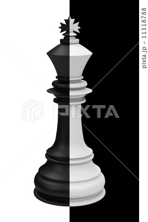 the king 11318788