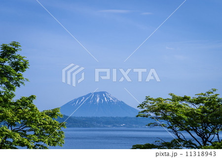 羊蹄山 羊蹄山 11318943