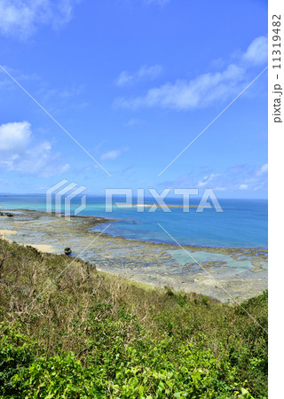 知念岬 11319482