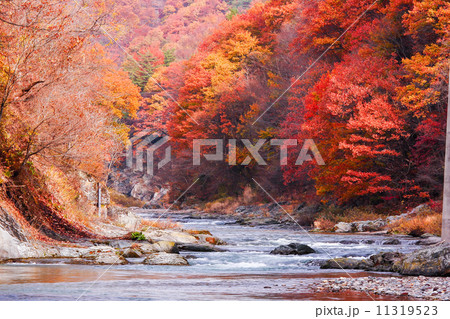 赤い渓谷 赤い渓谷 11319523