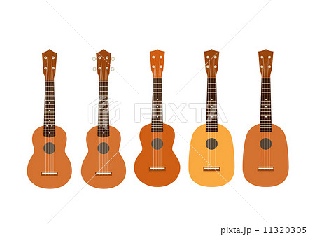 ウクレレ 11320305