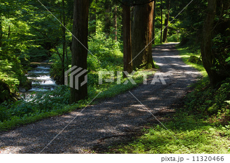 新潟県五泉市 慈光寺へ続く道 新潟県五泉市 慈光寺へ続く道 11320466