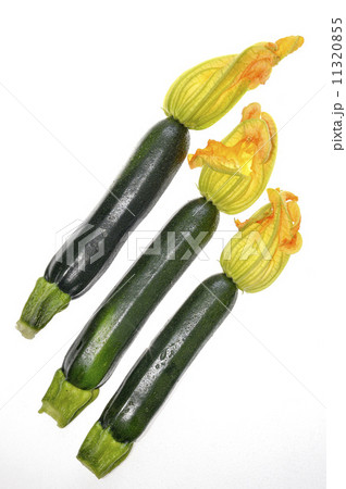 ズッキーニ 11320855