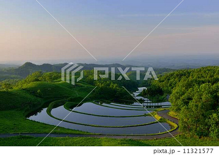 扇田の棚田 扇田の棚田 11321577
