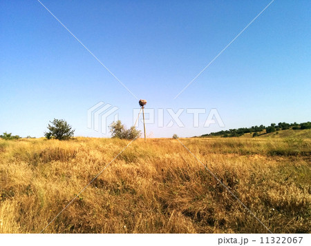 Stork nest on the nature 11322067