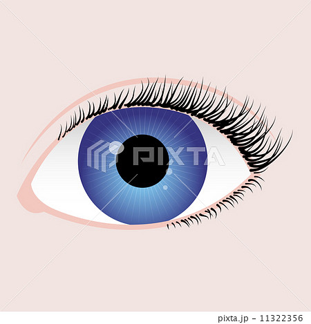 realistic eye with blue iris, black algae and reflection on pupil realistic eye with blue iris, black algae and reflection on pupil 11322356